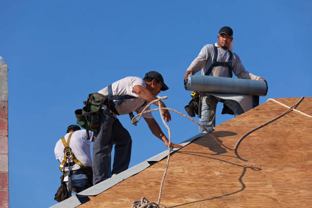 Roof Gutter Cleaning in Palos Verdes Estates, CA